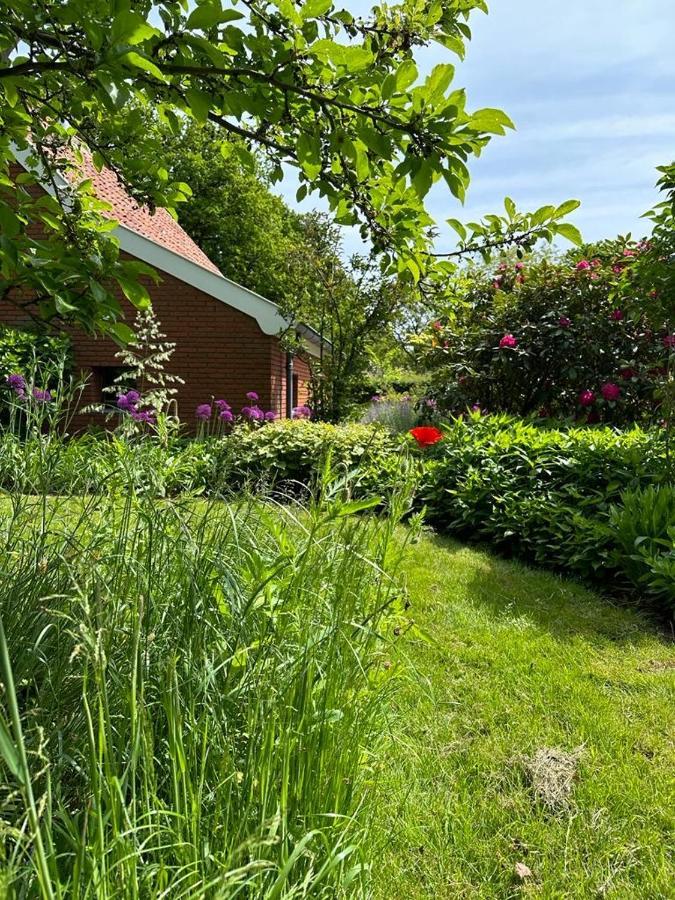 Holiday home Haystackcottage Paterswolde