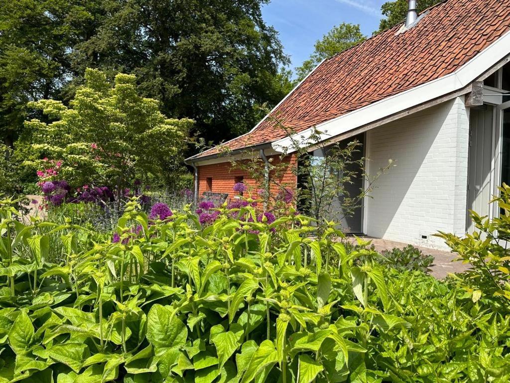 Haystackcottage Holiday home *