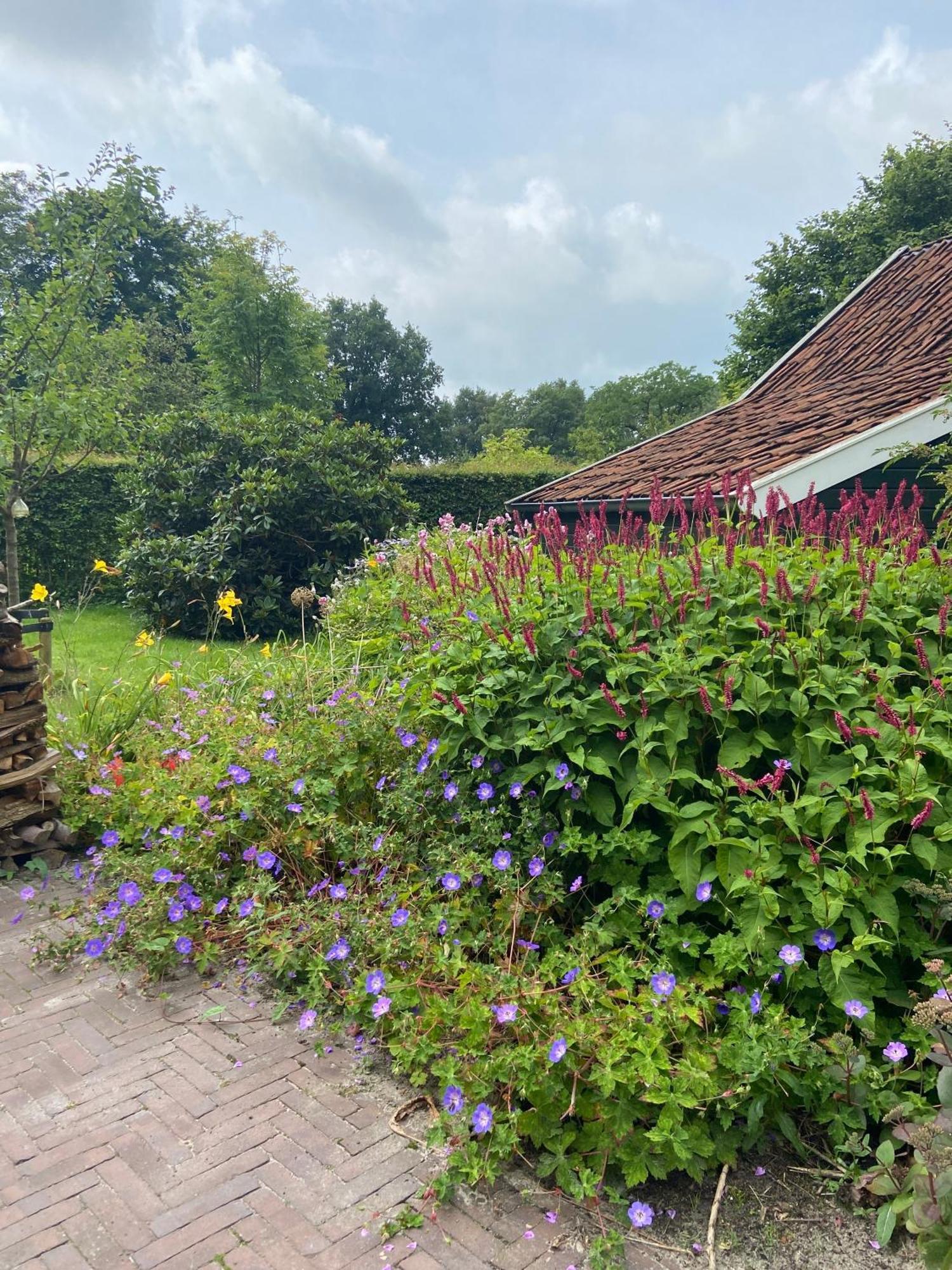 Casa vacanze Haystackcottage Paterswolde